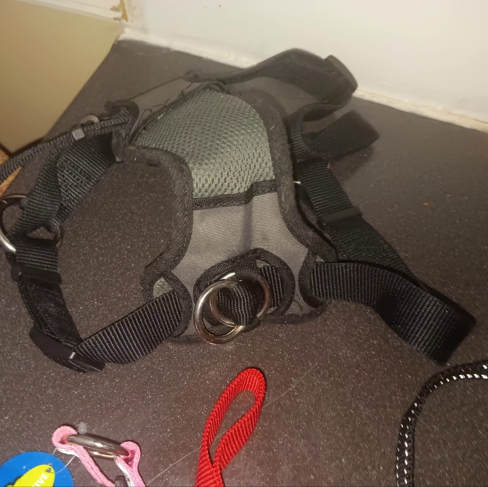 Harnesses - Picture 12 of 16